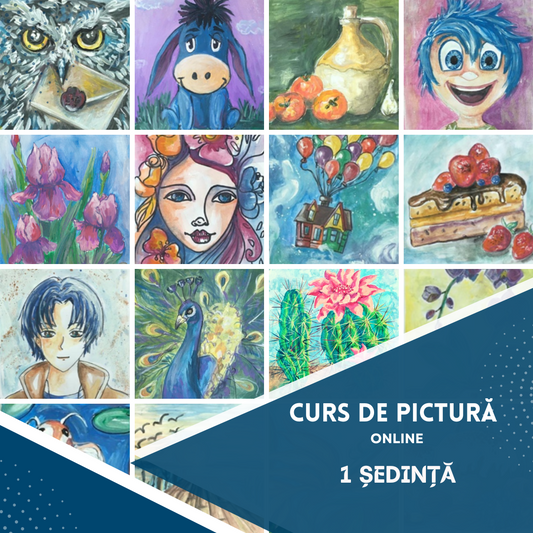 Curs de pictura -1 sedinta (90 minute)